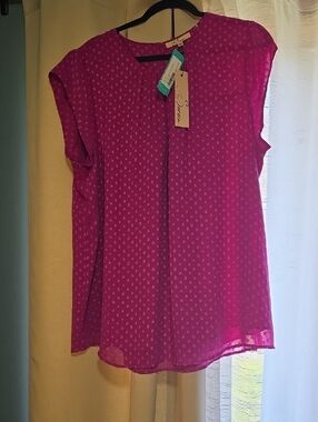 Les Serein Ariel Short Sleeve Pleared Blouse Dark Pink 2xl Nwt Stitchfix